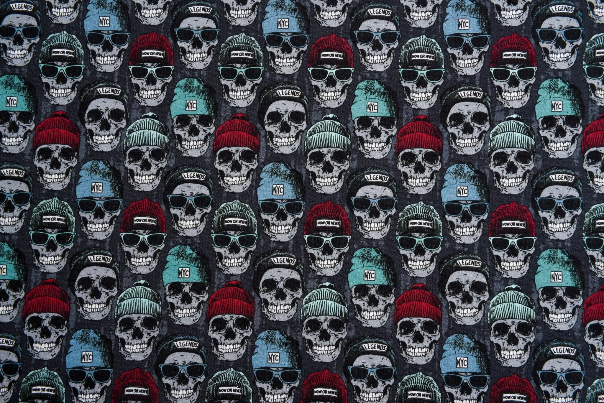 Alpine Fleece Cool Skull Print Fabric- 5008