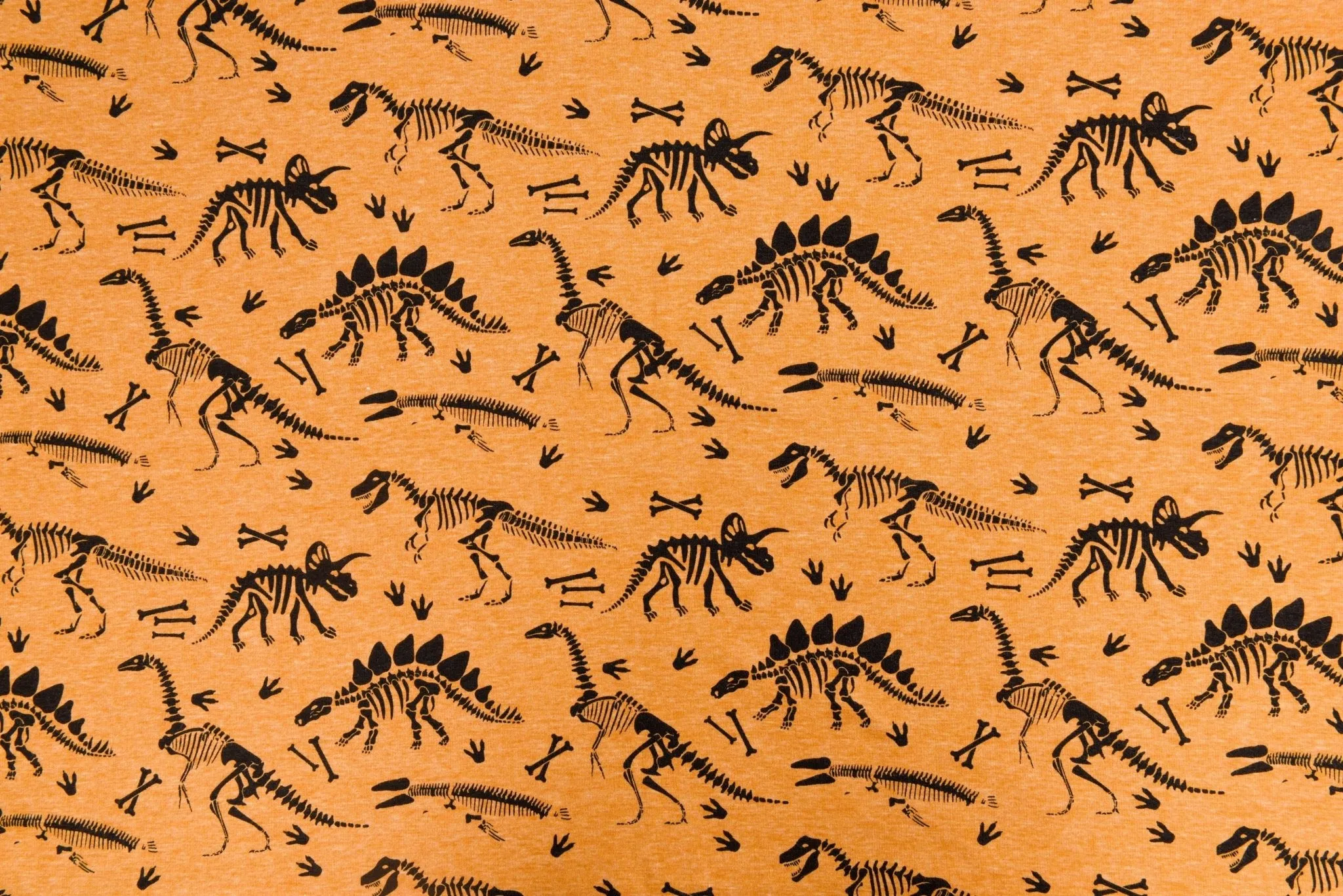 Alpine Fleece Dinosaur Bones Print Fabric