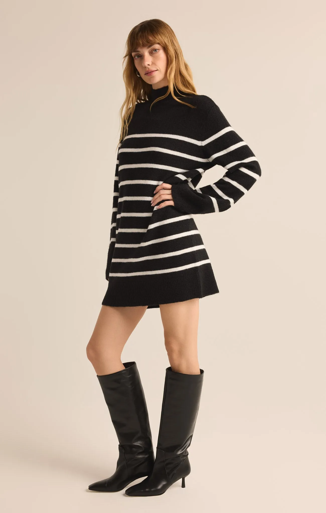 Fin Stripe Turtleneck Sweater Mini Dress