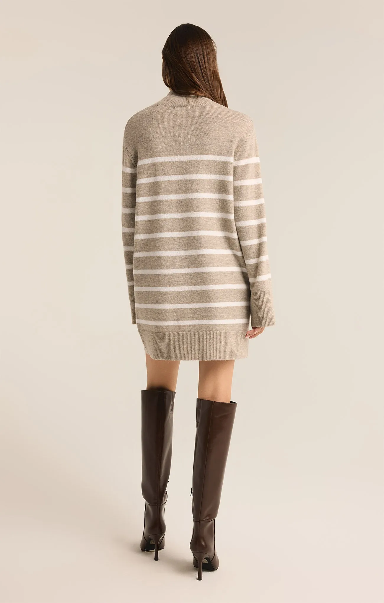 Fin Stripe Turtleneck Sweater Mini Dress